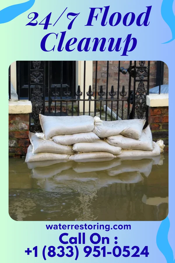24/7 Flood Cleanup in Ashley, IL