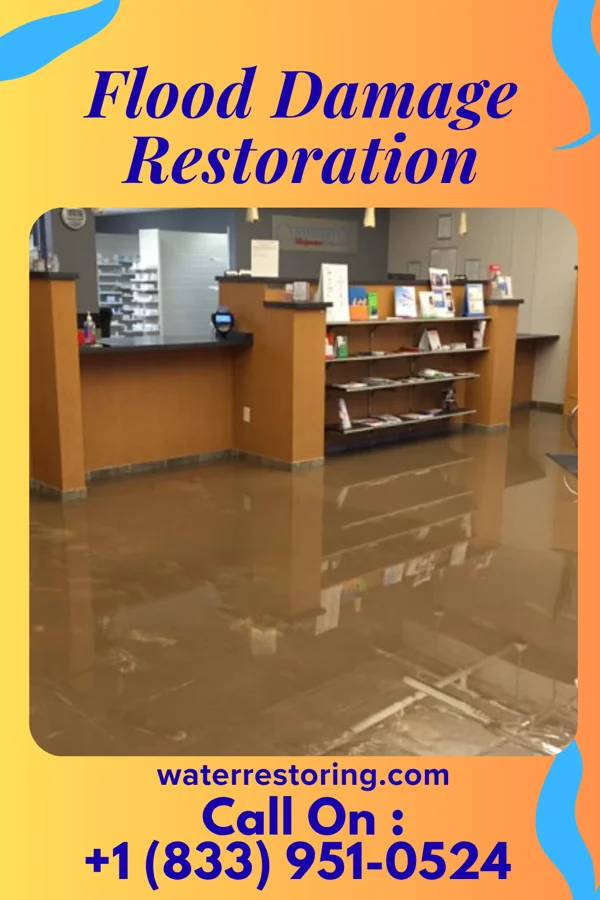 Flood Damage Restoration in Ashley, IL
