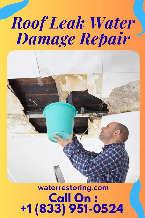 Roof Leak Water Damage Repair in Ashley, IL