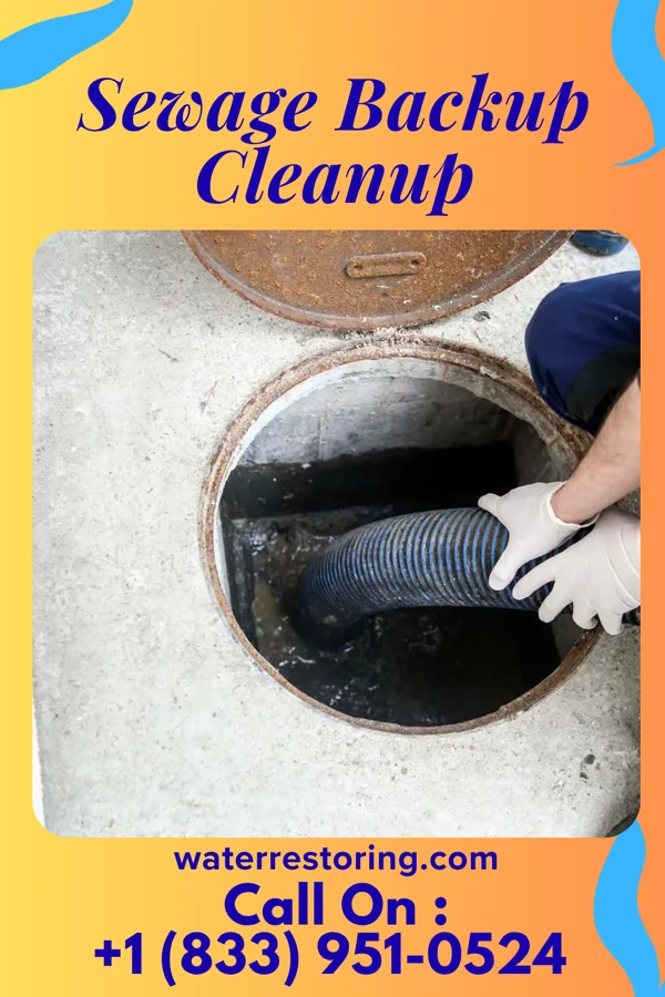 Sewage Backup Cleanup in Ashley, IL